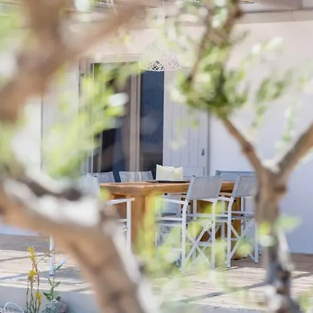 Refreshing Bright Near The